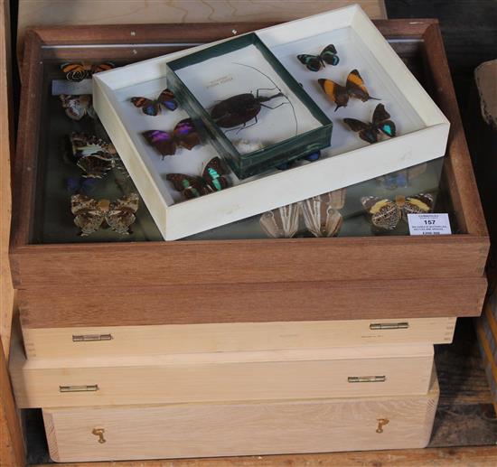 Six cases of butterflies, beetles and spiders, and three glazed cases of butterflies